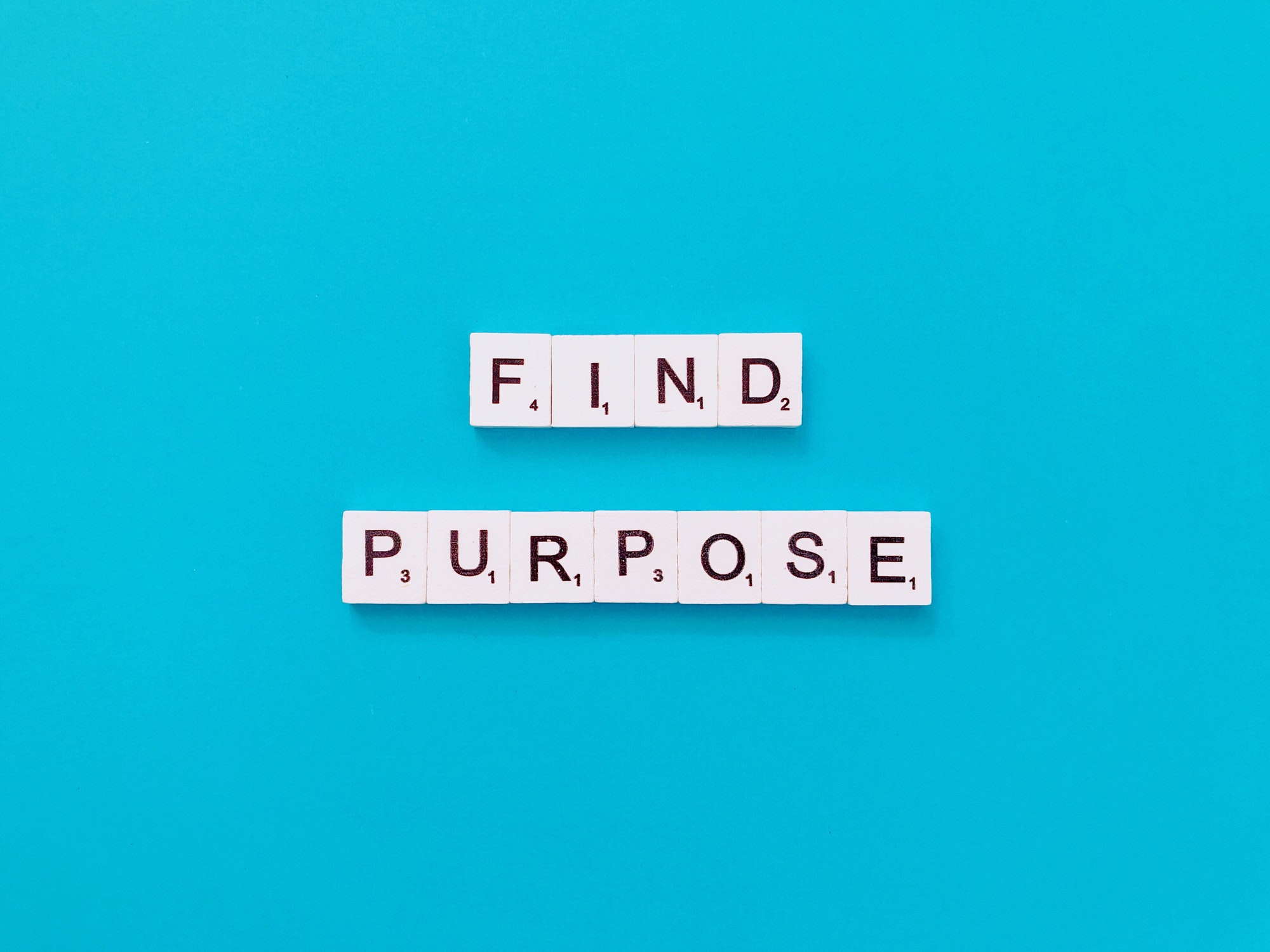 Find purpose