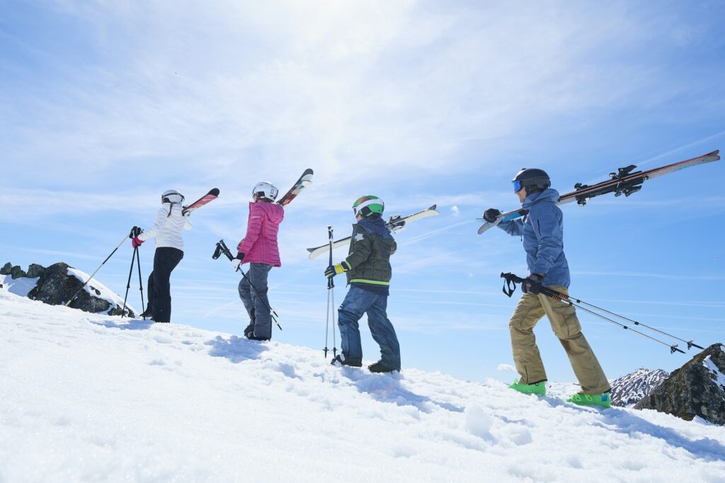 Семейство ски