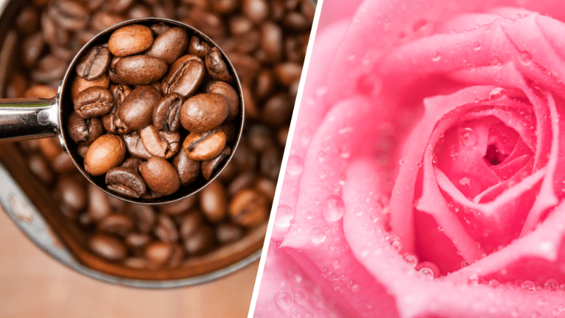 Кафе и розова вода 